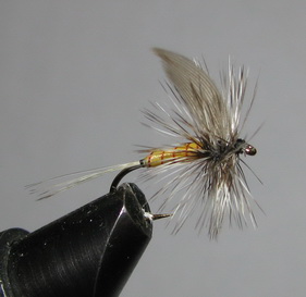 ���� ����� Dry fly  